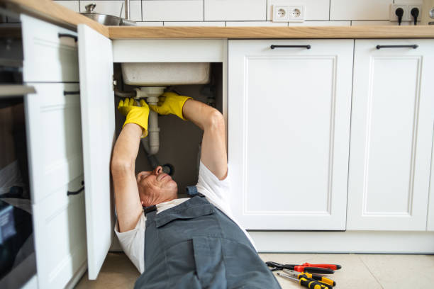 Best Emergency Plumbing Services in Inkster, MI